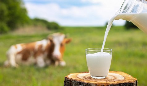 В Оренбуржье одни из самых низких цен на молоко